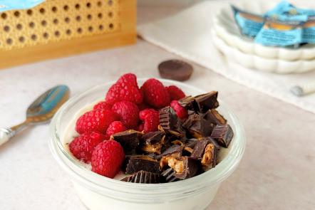 Homemade Frozen Yogurt
