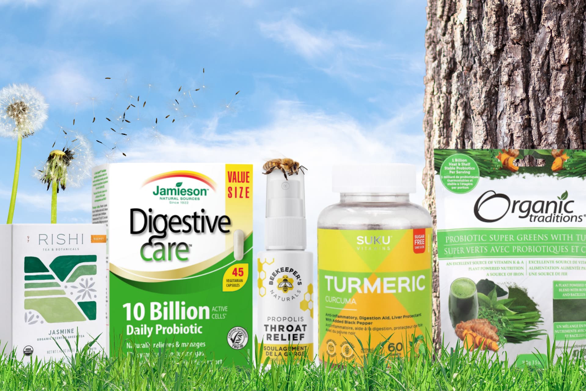 Comment soulager naturellement les symptômes des allergies saisonnières ?