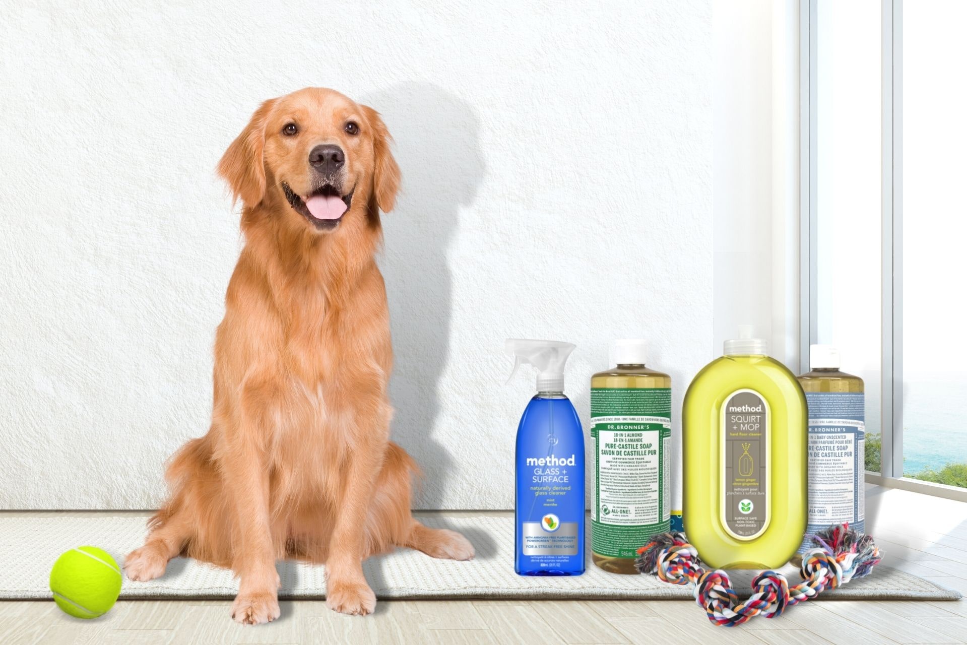 Nettoyeurs de maisons favorables aux animaux de compagnie dont chaque propriétaire d'animal a besoin