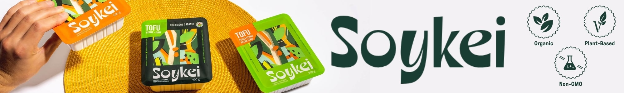 Soykei