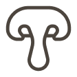 Adaptogènes