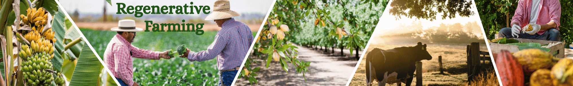 Regenerative Farming