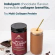 Ancient Nutrition Protéine de Collagène Multi-Chocolat, 298g