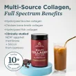 Ancient Nutrition Protéine de Collagène Multi-Chocolat, 298g