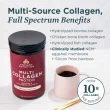 Poudre de protéine de collagène multi Ancient Nutrition pure, 235g