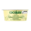 Cocojune Organic Cultured Coconut Yogurt Lemon Elderflower Front of cup