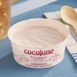 Cocojune Organic Cultured Coconut Yogurt Strawberry Rhubarb Lifestyle 1