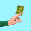 GimMe Organic Roasted Seaweed Snack Extra Virgin Olive Oil - Organic Seaweed Snacks - Seaweed Snacks - Organic Roasted Seaweed Snack