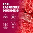 Shameless Snacks Low Sugar Gummy Candy Vegan Gummy Bears