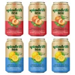 Spindrift Iced Tea Variety 6-Pack, 355 mL each Front