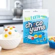 YumEarth Dairy-Free Choco Yums Holiday, 113g