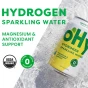 oHY Organic Hydrogen Sparkling Water Lemon Lime Lifestyle