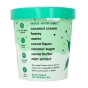 Frönen Dairy-Free Ice Cream Mint Chip Side