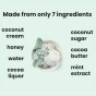 Frönen Dairy-Free Ice Cream Mint Chip Lifestyle