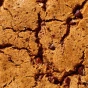 Toto Gluten-Free Protein Cookie Variety Pack Lifestyle