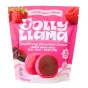 Jolly Llama Real Fruit Dairy-Free Snack Bites Raspberry Chocolate Cream Front