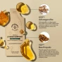 Beekeeper’s Naturals Propolis Stress Support Liposomal Packet Canada Lifestyle 1
