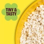 Cob Foods Corn-Free Popcorn Popped Sorghum Cacio E Pepe Lifestyle 2
