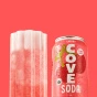 Cove Soda Cove Drinks Gut Healthy Probiotic Soda Cherry - Prebiotic Soda Canada - Cove Soda Canada - Healthy Soda