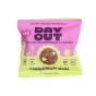 Day Out Gluten-Free Protein Balls Cinnamon Bun Front