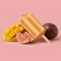 Frönen Dairy-Free Frozen Dessert Bars Tropical Lifestyle