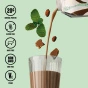 GROUNDED Dairy-Free High-Protein Coconut Milk Shake Mint Chocolate - Coconut Milkshake Protein - Dairy-Free Protein Milkshake - High-Protein Chocolate Shake