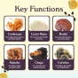 Grüns Nütrops Functional Nootropics Gummies for Adults Lemon Cloud Canada Lifestyle 4