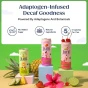 Juni Sparkling Decaffeinated Adaptogenic Tea Yuzu Pineapple - Adaptogenic Drinks - Jay Shetty Tea - Sparkling Teas