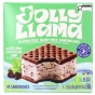 Jolly Llama Gluten & Dairy Free Ice Cream Sandwich Cool Mint Chocolate Chip Front