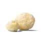 Lifestyle 1 of Moon Cheese Gouda - 100% Real Cheese Snack - High Protein Cheese Snack - Gluten-Free Cheese Snack