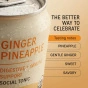 NA Beverage Co. Sparkling Tea Ginger Pineapple Lifestyle 1
