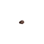 Lifestyle 1 of Nud Organic Dark Chocolate-Covered Raisins - Paleo Snack - Grain Free Snack - Gluten Free Snack