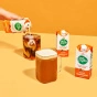 Nutpods Unsweetened & Dairy-Free Creamers Variety 4-Pack Canada Lifestyle 2