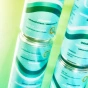 Ooya Energy Infusion Original Lemon Iced Tea Lifestyle 2