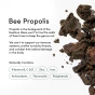 Beekeeper's Naturals Propolis Honey Throat Spray for Kids - Throat Relief Spray - Kids Propolis Spray