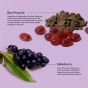 Beekeeper's Naturals Propolis Lozenges Elderberry - Propolis For Cough - Propolis Elderberry - Elderberry Lozenges