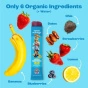 Sweet Nothings Organic Fruit Pops Berry Lemonade PAW Patrol - Organic Frozen Fruit Snack - Healthy Summer Snack - Gluten-Free Kids Pop