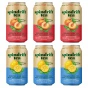 Spindrift Iced Tea Variety 6-Pack, 355 mL each Front