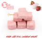SunDrench Freeze Dried Strawberries Yogurt Bites