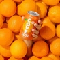 Cove Soda Variety Pack Gut Healthy Soda - Healthy Soda - Probiotic Drink Canada - Probiotic Soda