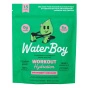 Front of Waterboy Electrolytes - Waterboy Hydration - Replenishing Electrolytes - Electrolytes For Athletes - Sugar-Free Electrolyes - Strawberry Lemonade Electrolytes